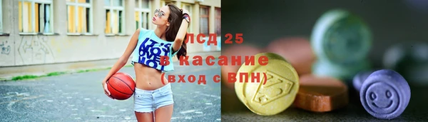 твердый Майский