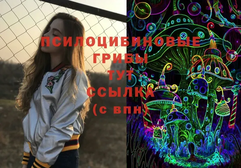 ссылка на мегу ТОР  Ивангород  Псилоцибиновые грибы мухоморы 